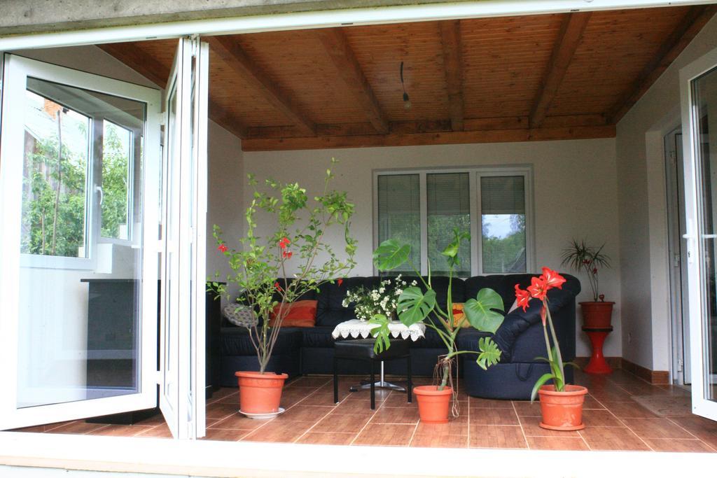 Hotel Busta House à Bogdan Vodă Extérieur photo