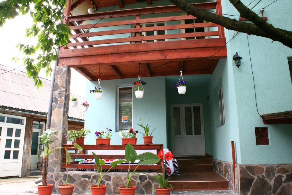 Hotel Busta House à Bogdan Vodă Extérieur photo