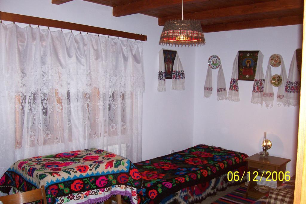 Hotel Busta House à Bogdan Vodă Extérieur photo
