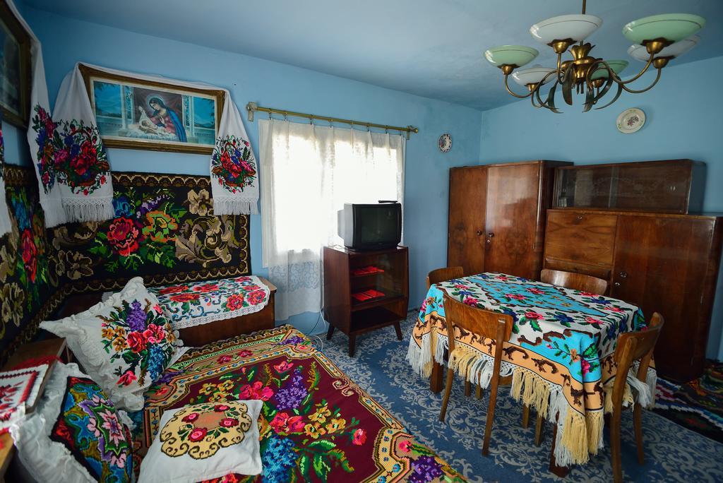 Hotel Busta House à Bogdan Vodă Extérieur photo