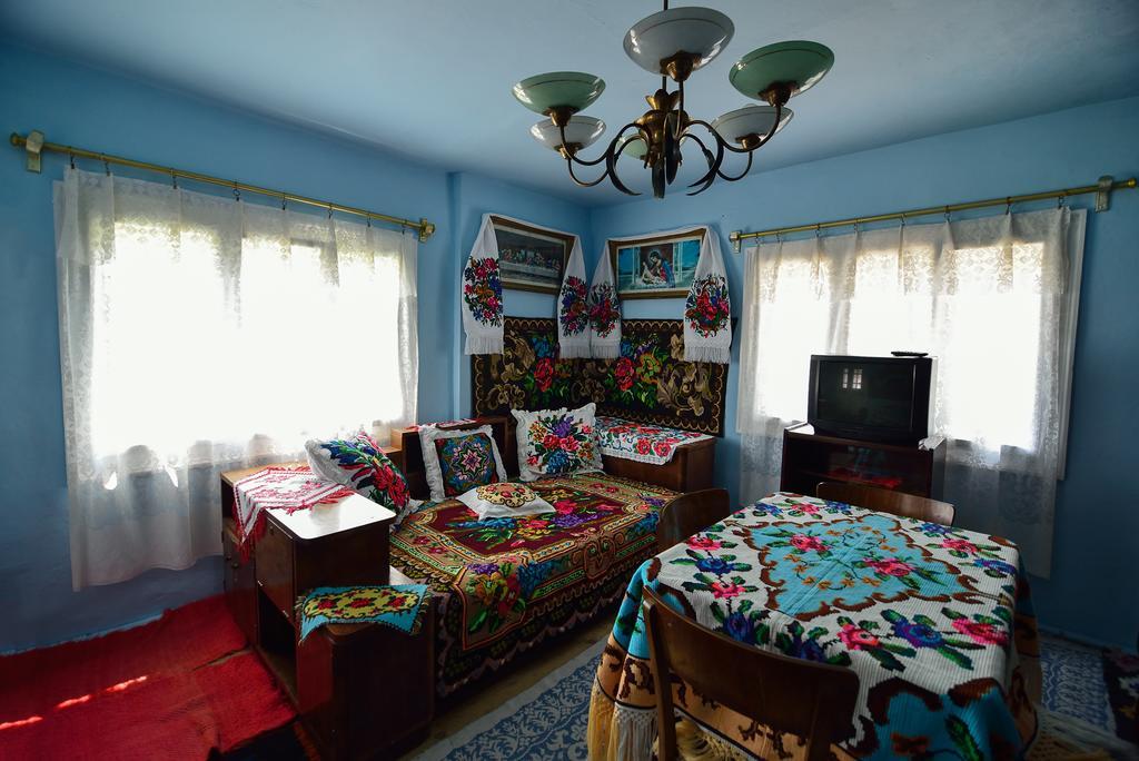 Hotel Busta House à Bogdan Vodă Extérieur photo