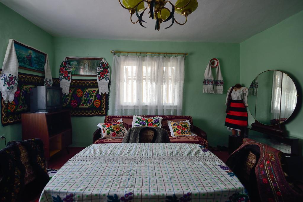 Hotel Busta House à Bogdan Vodă Extérieur photo