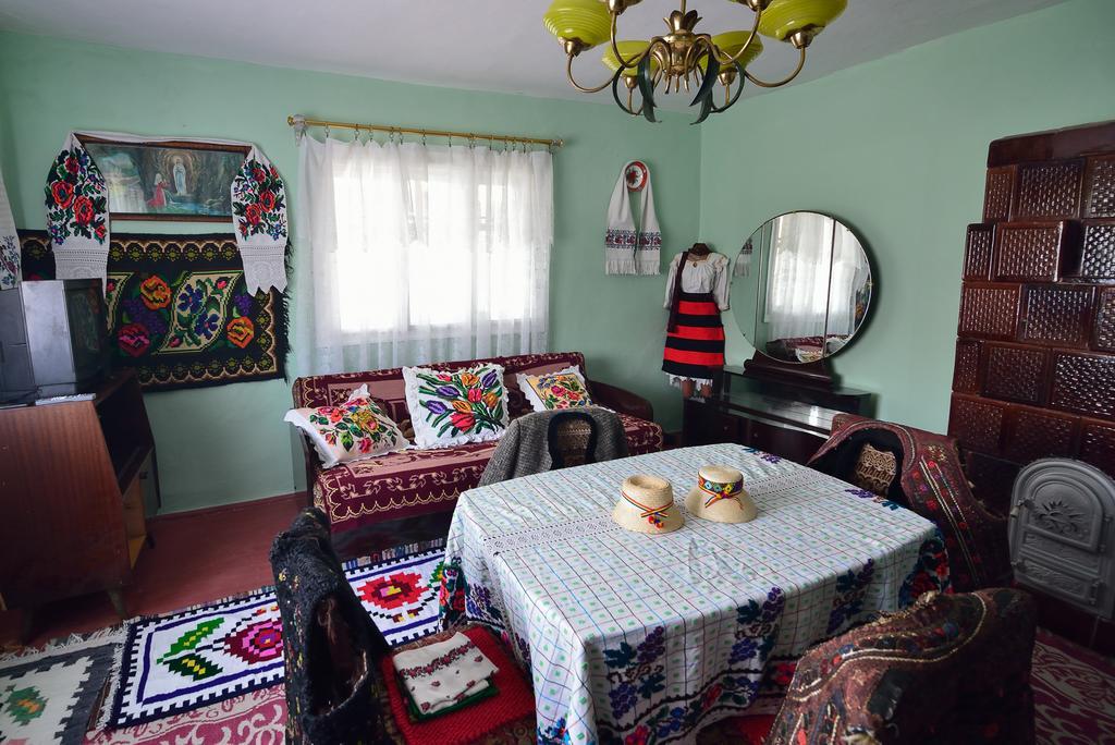 Hotel Busta House à Bogdan Vodă Extérieur photo